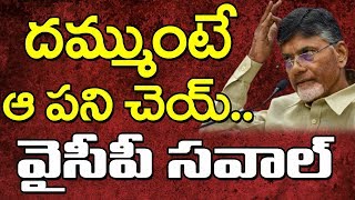 YSRCP Challenge to TDP Over IT Raids | దమ్ముంటే ఆ పని చెయ్.. వైసీపీ సవాల్