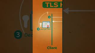 TLS Handshake Explained #systemdesign #ssl