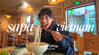 Vietnam Travel Vlog • itinerary + things I wish I knew before going to Sapa from Hanoi 🚂🇻🇳