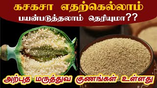 கசகசா அற்புத மருத்துவ குணங்கள்..! | kasa kasa benefits in Tamil