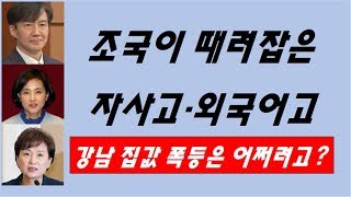 [황태순-TV] 조국이 때려잡은 외고-자사고! 이건 나라냐?