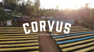 12 hours in Ethiopia; Yirgacheffe