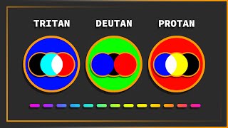 How to Simulate Color Blindness (CVD)