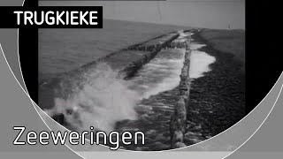 TRUGKIEKE - Zeeweringen