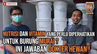 JAWABAN DOKTER HEWAN⁉️ NUTRISI & VITAMIN UNTUK MURAI BATU