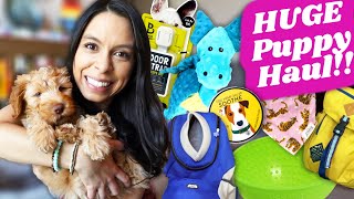 TOP PUPPY ESSENTIALS 🐶 What you need to prepare for a new puppy!
