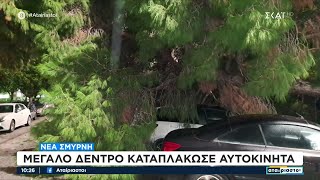 Νέα Σμύρνη: Μεγάλο δέντρο καταπλάκωσε αυτοκίνητα | Αταίριαστοι | 27/12/2024