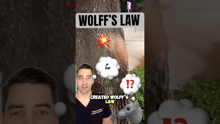 Wolff’s Law - Julius Wolff #bonehealth #bone #stress #karate #kungfu #makiwara