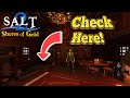 Salt 2: Beginner Tips And Tricks Guide