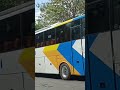 pemain baru jalur tengah, bus damri rute cepu - bandung #shorts #purwodadi