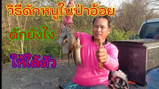 หมายธรรมชาติ ดักหนูพุกป่าอ้อยด้วยกับเหล็กโมดิฟาย หัวเชื้อลั่นทุ่งสูตร 2