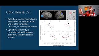 Dorsal Stream Functions in CVI: Vision for Action by Dr. Corinna Bauer