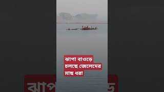 রাজগঞ্জ ঝাপা বাওড়ে প্রতিদিন চলে এমন মাছ শিকার।।#মাছ #ঝাপা #বাওড় #villagelife