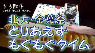 (02)【北海道大学 金葉祭】イチョウ並木で軽くなんか食べます（ライトアップは次回）