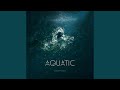 Expectations (feat. Sanna Hartfield)