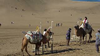 鳥取砂丘 Tottori Sand Dunes