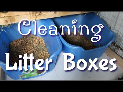 How I Clean My Rabbits Litter Boxes How I Clean My Rabbits Litter Boxes