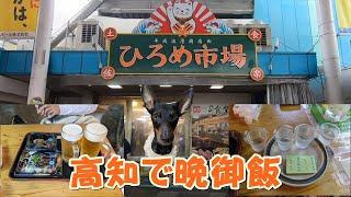 【ミニピン】慎と行く四国旅行　ひろめ市場で晩御飯