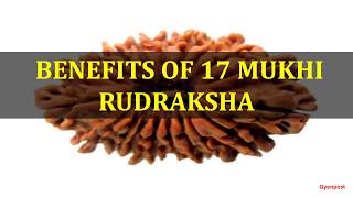 BENEFITS OF 17 MUKHI RUDRAKSHA