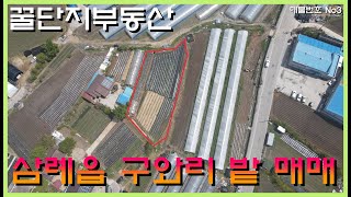 (꿀단지부동산TV)No.3 전북 완주군 삼례읍 구와리 토지매매- 전주에코시티와 삼봉지구에서 가까운 투자용,주말농장 토지매매