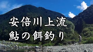 安倍川上流、鮎の餌釣り。