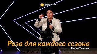 Оксана Таранова - «Роза для каждого сезона»