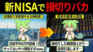 新NISAで株式投資を始めた投資初心者ずんだもんの末路