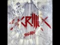 skrillex bangarag