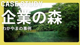 和歌山県の企業の森づくり活動はどういう取組？