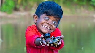 குட்டி புலி வயலில் இறங்கி நத்தை வேட்டை | Kutti Puli Catching And Cooking Field Snails | kutti puli