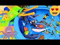 SEA ANIMALS FOR TODDLERS: BLUE CRAB, LEAFY SEA DRAGON, MANTA RAY, SAILFISH, SEAHORSE, AND OTHERS