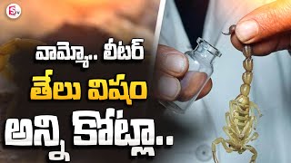 వామ్మో.. ఈ తేలు విషం ఇన్ని కోట్లా | Telugu Updates @SumanTVNellore