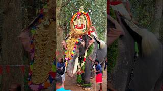 Kerala Elephant Puthuppally Sadhu  Alappancode temple festival ✨️ #kanyakumaridiaries #hindufestival