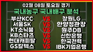 토토분석 스포츠분석 프로토분석 02월08일 KBL 프로농구 국내농구 V리그 국내배구 주요경기분석