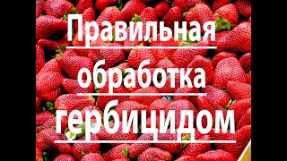 Правильная обработка гербицидом.