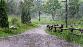 Fall Asleep Quickly with the Heavy Rain in the Park. Rain Sounds to End Insomnia