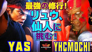 ストリートファイター6✨YAS [リュウ] Vs YHC餅 [ダルシム]  最強の修行！リュウ、仙人に挑む！  | SF6✨YAS [Ryu] Vs YHCmochi [Dhalsim]✨スト6