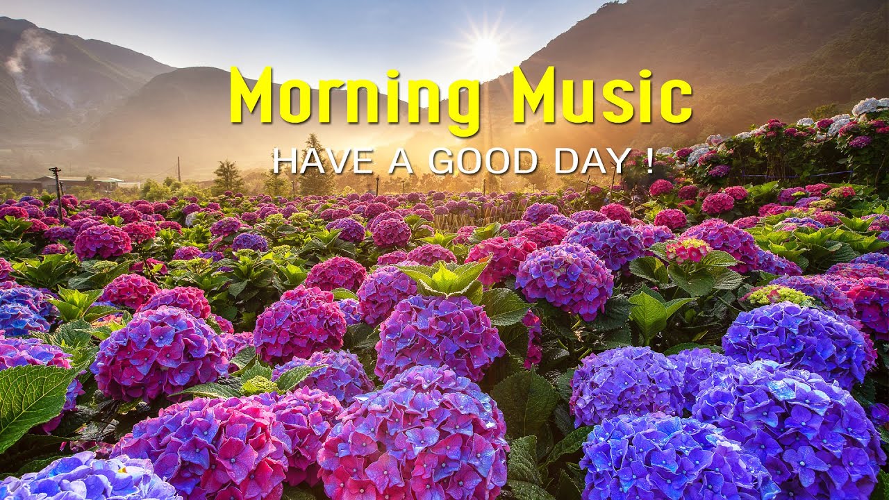 Good Morning Music Positive Energy And Therapy Stress Relief Calm Piano