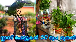 Fluorescent Glass Pots|ഗ്ലാസ് പോട്ടുകൾ 50രൂപ മുതൽ|Joys Garden|Jobin Magic World