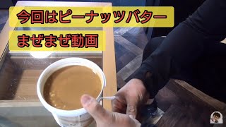 マイプロテイン、ピーナッツバターはどうか？！食べられるのか？！開封動画です　　#マイプロテイン　#MYPROTEIN　#筋トレ