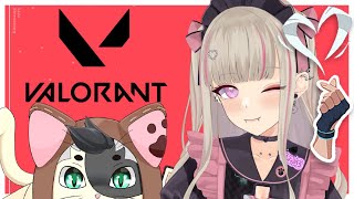 【VALORANT】猫と戯れるアンレート/新人Vtuber【Ving】