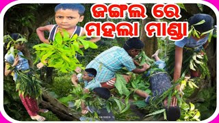 ଜଙ୍ଗଲରେ ମହଲା ମାଣ୍ଡା @rasmitavlogs3161 #odia #odiavlogs