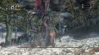 Bloodborne レベル4 月の魔物 カンスト周