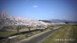 空撮 in 九州 桜2014 ふるさとカンパニー　～　マルチコプター空撮