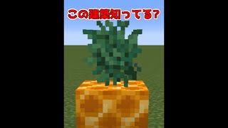 上級者のみ知る簡単建築小技3選【マイクラ】【Minecraft】