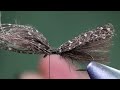 tying a guinea fowl caddis dry fly pattern very good and low floatation