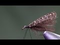 tying a guinea fowl caddis dry fly pattern very good and low floatation