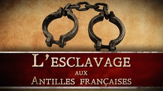 Comment était organisée la traite atlantique vers les Antilles françaises ? [QdH#46]