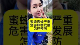 冬天如何喂养蜜蜂冬季蜜蜂严重缺蜜怎样紧急补救不伤害蜜蜂 #蜜蜂 #养蜂人 #蜜蜂养殖技术 @快手服务号