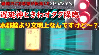 【水郡線より文明が上！？】千葉県満喫旅行♪